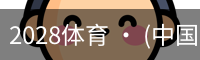 2028体育
